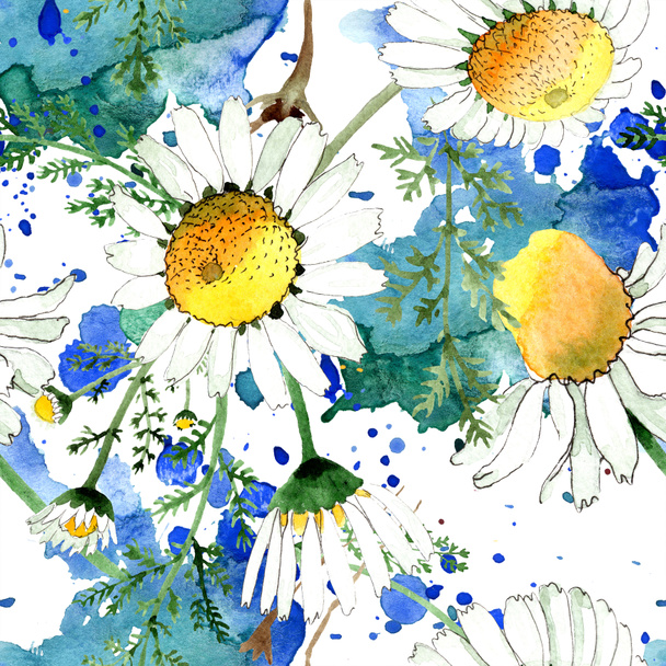 Papatya çiçek botanik çiçek. Vahşi bahar yaprağı izole edilmiş. Suluboya illüstrasyon seti. Suluboya çizim moda aquarelle. Kusursuz arka plan deseni. Kumaş duvar kağıdı baskı doku. - Fotoğraf, Görsel