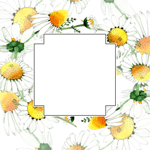 Chamomile floral botanical flower. Wild spring leaf wildflower isolated. Watercolor background illustration set. Watercolour drawing fashion aquarelle isolated. Frame border ornament square. - Фото, зображення
