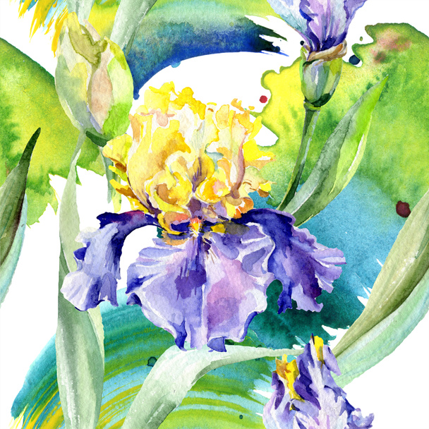 Lila sárga írisz. Virágos botanikus virág. Vad tavaszi levél vadvirág elszigetelt. Akvarell háttér illusztráció meg. Akvarell rajz divat Aquarelle elszigetelt. - Fotó, kép