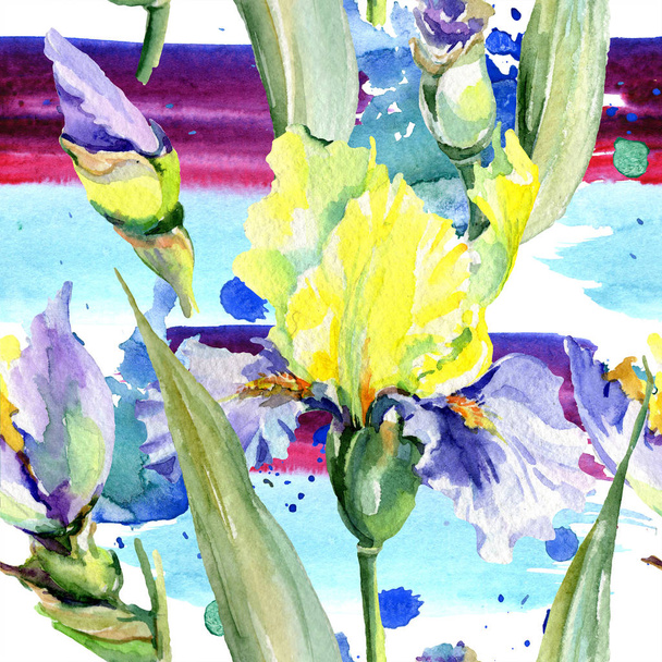 Purple yellow iris. Floral botanical flower. Wild spring leaf wildflower isolated. Watercolor background illustration set. Watercolour drawing fashion aquarelle isolated. - Fotó, kép