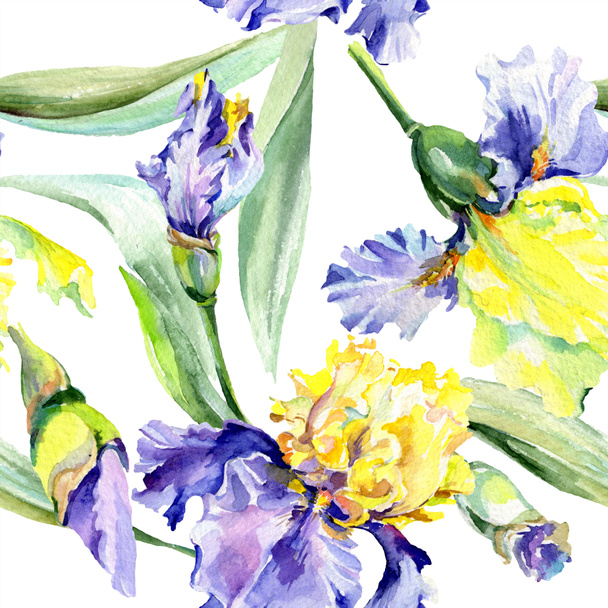 Purple yellow iris. Floral botanical flower. Wild spring leaf wildflower isolated. Watercolor background illustration set. Watercolour drawing fashion aquarelle isolated. - Foto, immagini