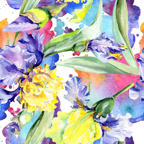 Purple yellow iris. Floral botanical flower. Wild spring leaf wildflower isolated. Watercolor background illustration set. Watercolour drawing fashion aquarelle isolated. - Photo, Image