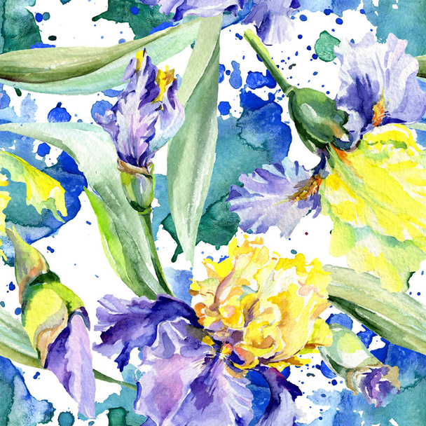 Purple yellow iris. Floral botanical flower. Wild spring leaf wildflower isolated. Watercolor background illustration set. Watercolour drawing fashion aquarelle isolated. - Photo, image
