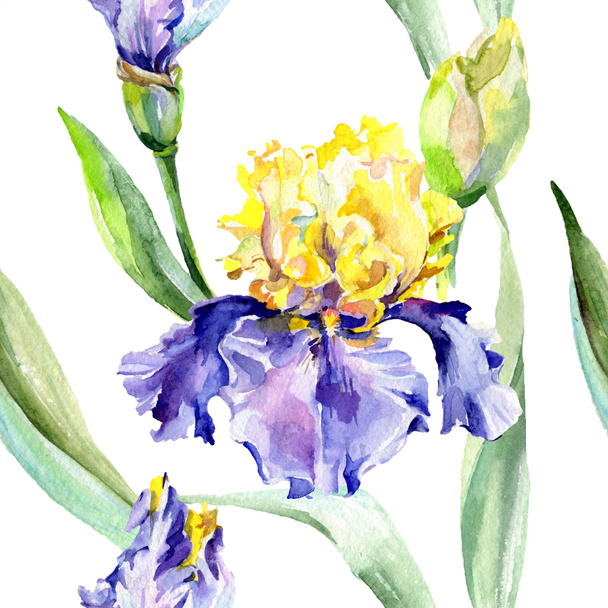 Purple yellow iris. Floral botanical flower. Wild spring leaf wildflower isolated. Watercolor background illustration set. Watercolour drawing fashion aquarelle isolated. - Fotó, kép