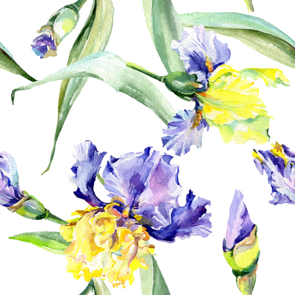 Purple yellow iris. Floral botanical flower. Wild spring leaf wildflower isolated. Watercolor background illustration set. Watercolour drawing fashion aquarelle isolated. - Foto, imagen