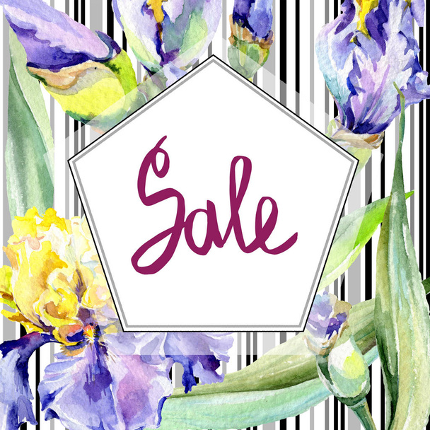 Purple yellow iris flower watercolor background. Watercolour drawing. Frame border square. Sale handwriting. - Zdjęcie, obraz