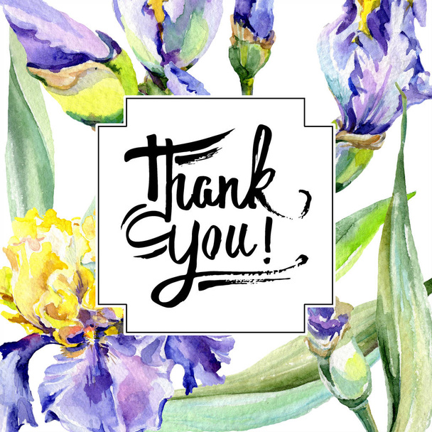 Purple yellow iris flower watercolor background. Watercolour drawing. Frame border square. Thank you handwriting. - Фото, изображение