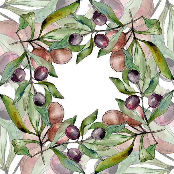 Black olives watercolor background illustration set. Watercolour drawing aquarelle green leaf. Frame border square. - Fotoğraf, Görsel