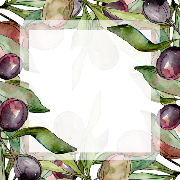 Black olives watercolor background illustration set. Watercolour drawing aquarelle green leaf. Frame border square. - Foto, imagen
