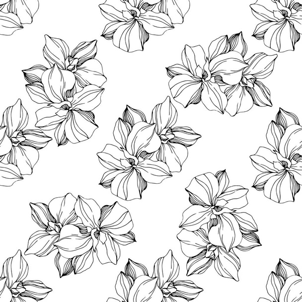 Vector Orchid flower. Black and white ngraved ink art. Seamless background pattern. Fabric wallpaper print texture. - Vetor, Imagem