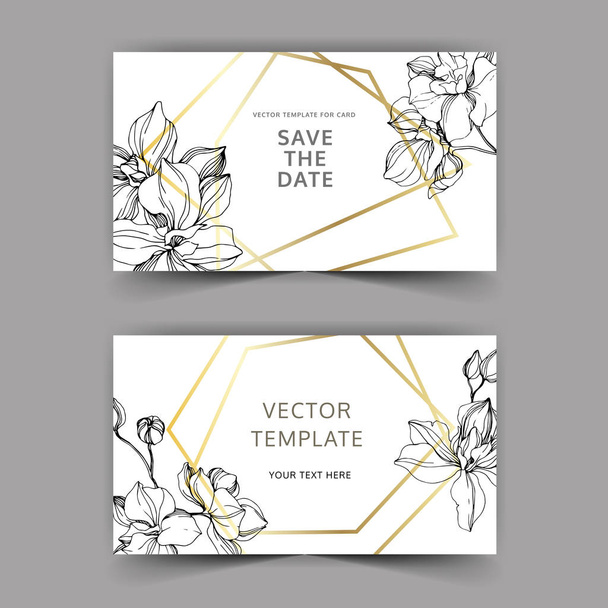 Vectoro Orchid flower. Engraved ink art. Wedding background border. Thank you, rsvp, invitation elegant illustration. - Vettoriali, immagini
