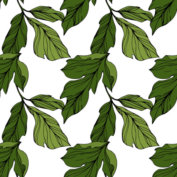 Vector Green leaf. Engraved ink art. Seamless background pattern. Fabric wallpaper print texture. - Vector, Image