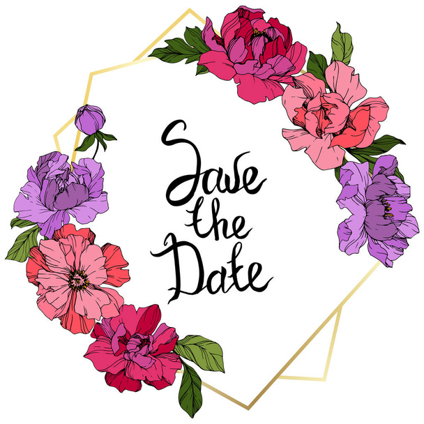 Vector Pink and purple peony. Engraved ink art. Frame border ornament square. Save the Date handwriting calligraphy. - Vektor, kép
