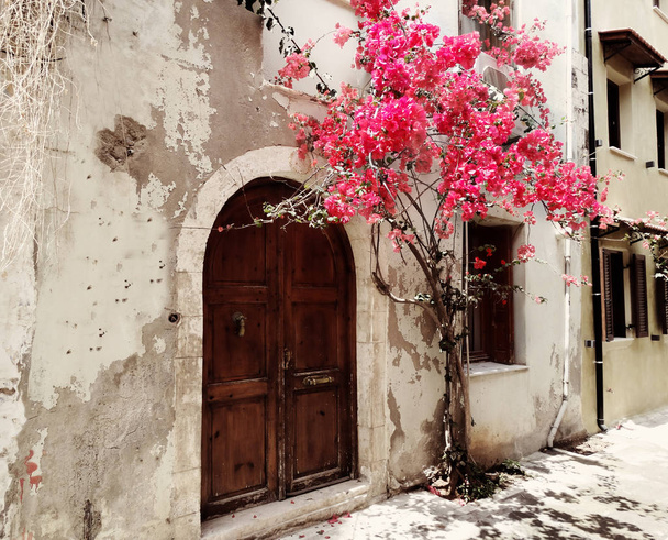 traditional street in Greece architecture with bright  bushes  - Photo, Image