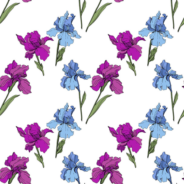 Vector Purple, yellow and blue iris. Floral botanical flower. Wild spring leaf wildflower isolated. Engraved ink art. Seamless background pattern. Fabric wallpaper print texture. - Wektor, obraz
