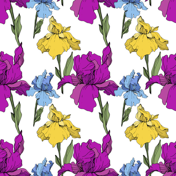 Vector Purple, yellow and blue iris. Floral botanical flower. Wild spring leaf wildflower isolated. Engraved ink art. Seamless background pattern. Fabric wallpaper print texture. - Vektor, obrázek