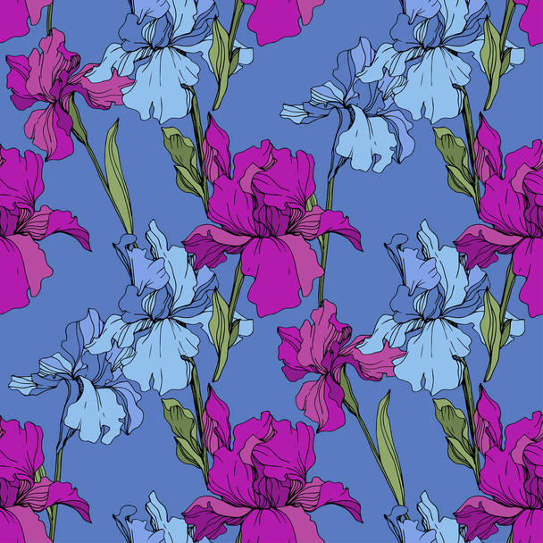 Vector Purple, yellow and blue iris. Floral botanical flower. Wild spring leaf wildflower isolated. Engraved ink art. Seamless background pattern. Fabric wallpaper print texture. - Vettoriali, immagini