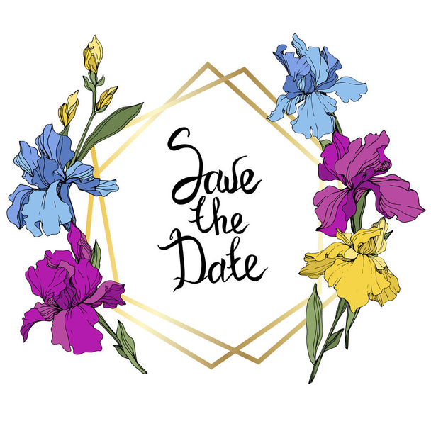 Vector Purple, blue and yellow. Floral botanical flower. Wild spring leaf wildflower isolated. Frame border ornament square. Save the Date handwriting monogram calligraphy. - Vector, Image