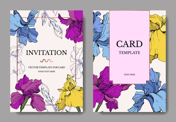 Μπλε Διάνυσμα, μοβ και κίτρινη ίριδα βοτανικό λουλούδι. Χαραγμένη τέχνη μελανιού. Γαμήλια κάρτα φόντο Floral διακοσμητικά περίγραμμα. Σας ευχαριστώ, πρόσκληση σε ευχαριστήρια σελίδα, παρουσίαση κομψή κάρτα εικονογράφημα σετ. - Διάνυσμα, εικόνα