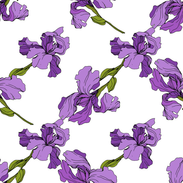 Vector Iris flor botánica floral. Patrón de fondo sin costuras. Textura de impresión de papel pintado de tela
. - Vector, Imagen