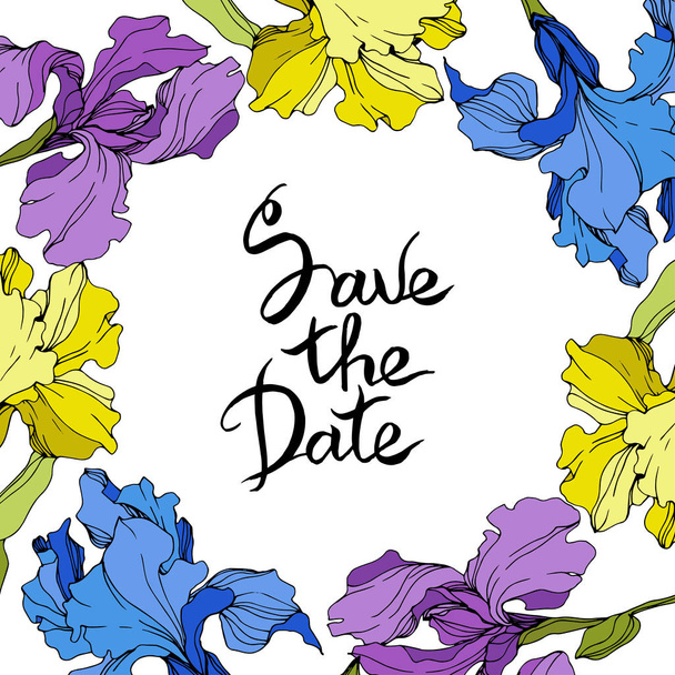 Vector Purple, yellow and blue iris flower. Engraved ink art. Frame border square. Save the date handwriting. - Vetor, Imagem