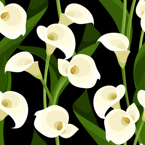 Seamless pattern with white calla lilies on black. Vector illustration. - Vector, afbeelding