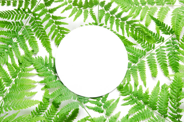 Creative layout of green tropical fern leaves with space for text on white paper. Mockup. View from above. - Image - Valokuva, kuva