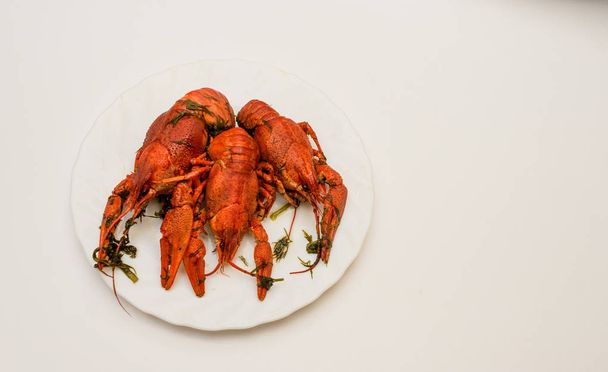 Un montón de cangrejos de río rojos cocidos en un plato de eneldo. De cerca. Macro mode.Deliciosa comida marinera
. . - Foto, Imagen