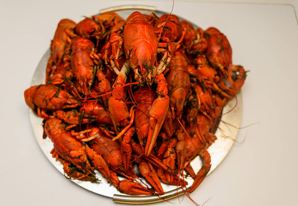 Un montón de cangrejos de río rojos cocidos en un plato de eneldo. De cerca. Macro mode.Deliciosa comida marinera
. . - Foto, imagen