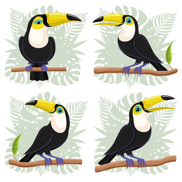 Toucans birds on branches and tropical leaves icon set. - Vector, afbeelding