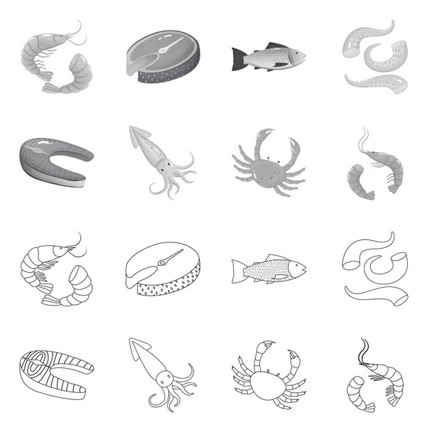 Vector design of fresh and restaurant symbol. Collection of fresh and marine stock vector illustration. - Vektor, kép