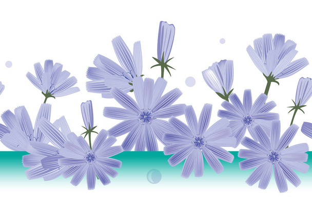 Flores de achicoria vector patrón sin costura. Diseño para papel pintado, textiles o envases de extracto de achicoria
 - Vector, imagen