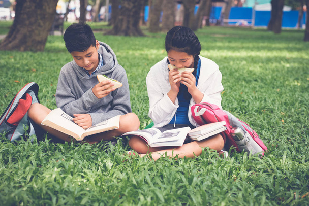 Vietnamilaiset koululaiset istuvat ruoholla ja lukevat kirjoja
 - Valokuva, kuva