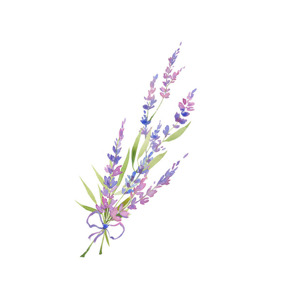 Watercolor lavender bouquet of lavender flowers to decorate weddings, invitations, cosmetics. floral provencal style design . - Fotoğraf, Görsel