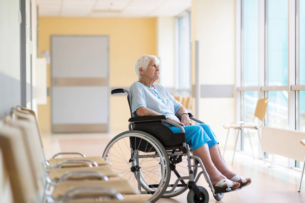 Tekerlekli sandalyesinde oturan yaşlı bir kadının portresi - Fotoğraf, Görsel