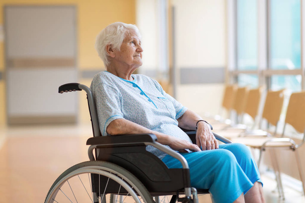 Portrait of an elderly woman sitting in her wheelchair - 写真・画像