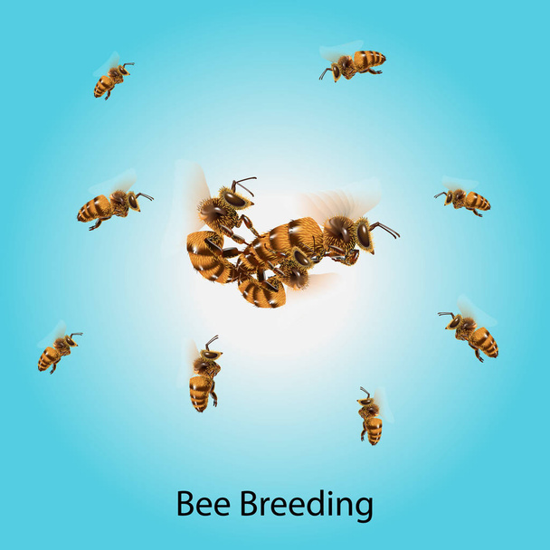 A méhek elegye együtt a levegőben. - Vektor, kép