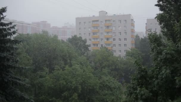 ulewny deszcz i drzew. - Materiał filmowy, wideo
