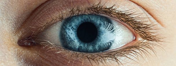Ženský modrý oko s dlouhými řasami zblízka. Detail makra lidského oka. - Fotografie, Obrázek