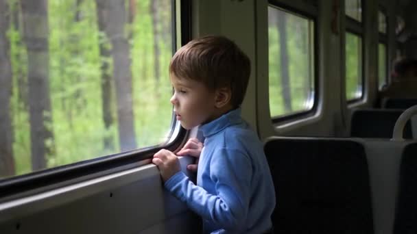 A fiú utazik vonattal, és úgy néz ki az ablakon, nézte a mozgó tárgyakat az ablakon kívül. Családi utazás - Felvétel, videó