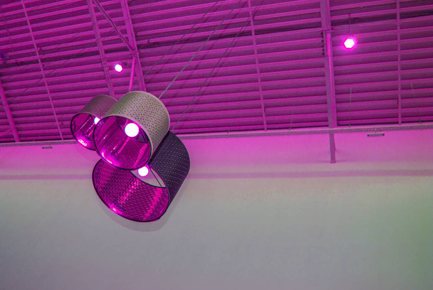 Ultra-moderne loft stijl in paars getinte kleur decoratieve lampen en lampenkappen hangen op lange touw, industriële plafond, interieur design - Foto, afbeelding