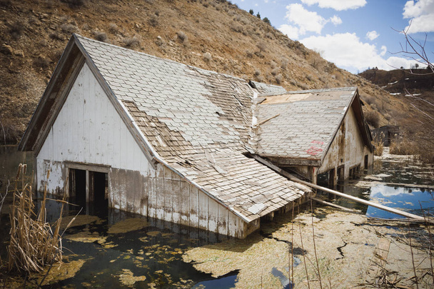 Затоплений будинок на болотному болоті
 - Фото, зображення