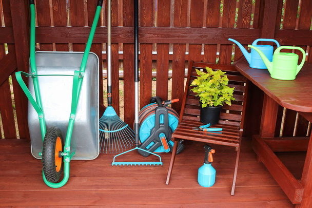 Ahşap bir barakada bahçe ekipmanları ve araçları ile birlikte dekoratif çalı. - Fotoğraf, Görsel