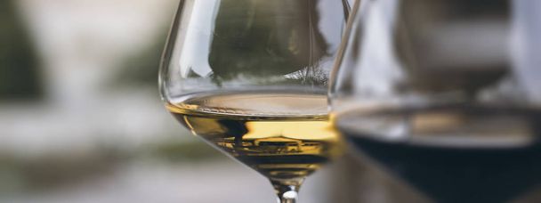 Келих Шардоне біле вино закрити вгору - Фото, зображення