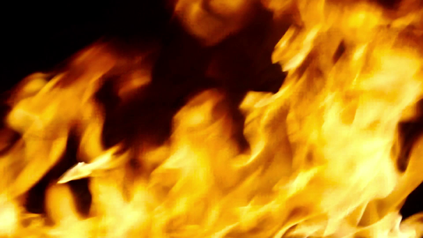 płomienie ognia - Materiał filmowy, wideo