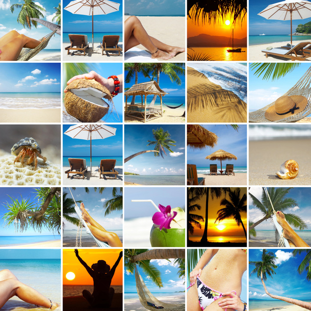 Collage tropicale
 - Foto, immagini