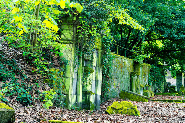 Törött sírkő, károsodás a temetőben a zöld - Fotó, kép