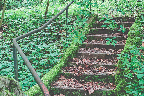 Σκάλες σε ένα πάρκο κατάφυτο και σπασμένο - Φωτογραφία, εικόνα