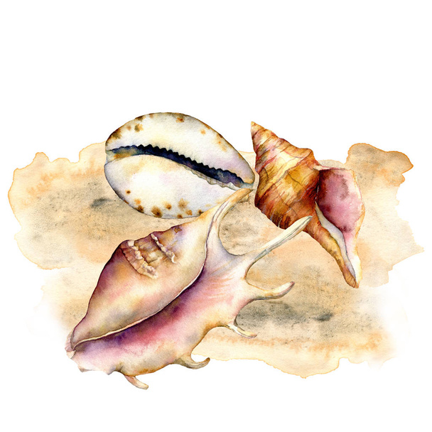 Watercolor shells composition on the sand. Hand painted underwater elements isolated on white background. Aquatic illustration for design, print or background. Trendy nautical collection. - Foto, Bild