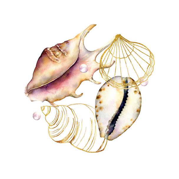 Watercolor and line art shells composition. Hand painted underwater elements isolated on white background. Aquatic illustration for design, print or background. Trendy nautical collection. - 写真・画像